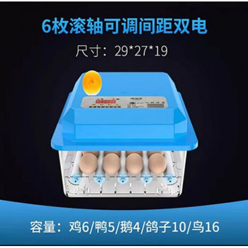 保溫箱孵化器 小型孵化機(jī)  家用孵化器 全自動(dòng)智能孵化箱