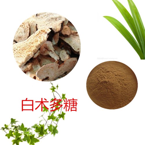 白術(shù)多糖 30%  50%  白術(shù)提取液 10:1