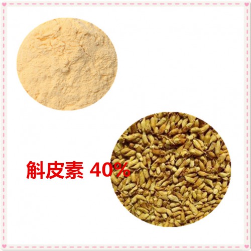 槲皮素40%  槐米提取液 槐米浸膏粉