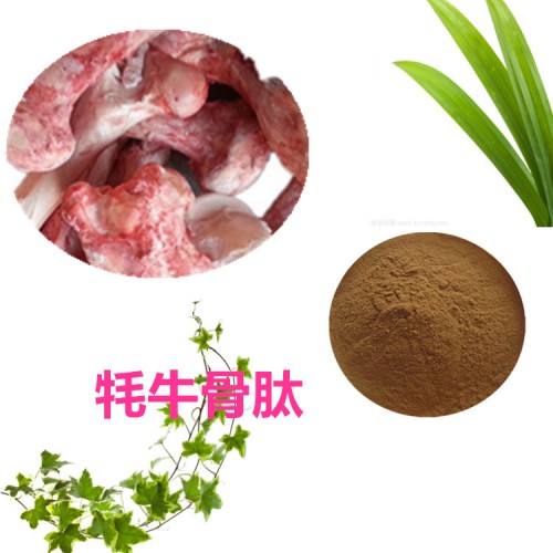 牦牛骨肽、牦牛骨膠原蛋白肽 牦牛骨蛋白