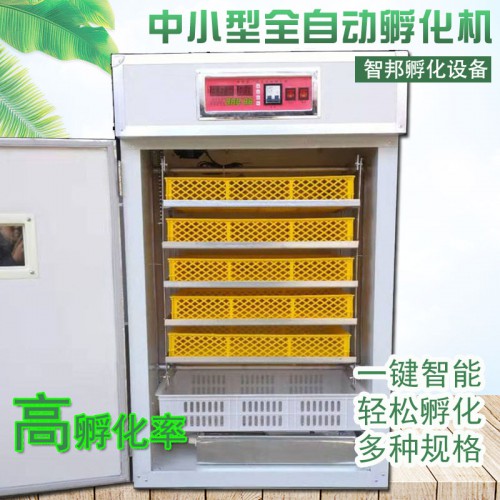 440型小型家用土雞孵化機山雞野雞孵化箱笨雞火雞孵化器