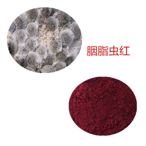 胭脂蟲紅50% ；蟲紅；胭脂紅酸 胭脂蟲提取物