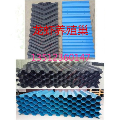 養殖巢  龍蝦養殖設備 龍蝦養殖片