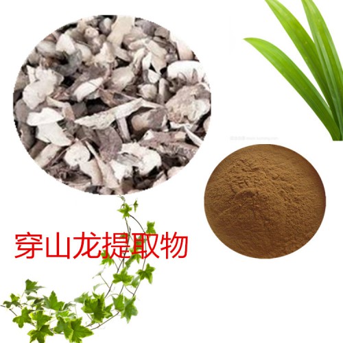 穿山龍?zhí)崛∥?水提  穿山龍速溶粉 穿山龍浸膏 穿山龍粉