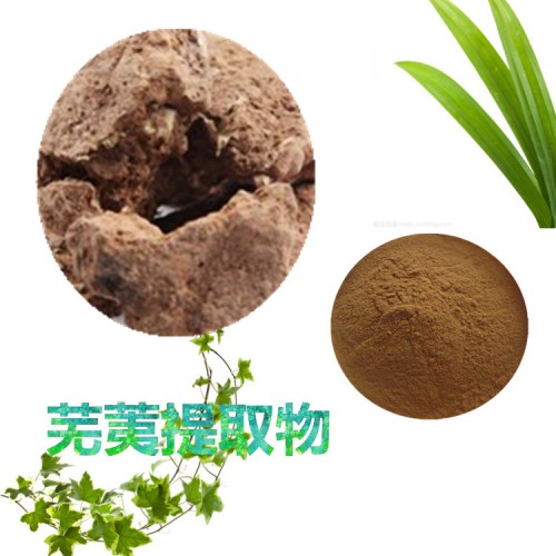 蕪荑提取物 水提 10：1  蕪荑速溶粉 蕪荑浸膏 蕪荑粉