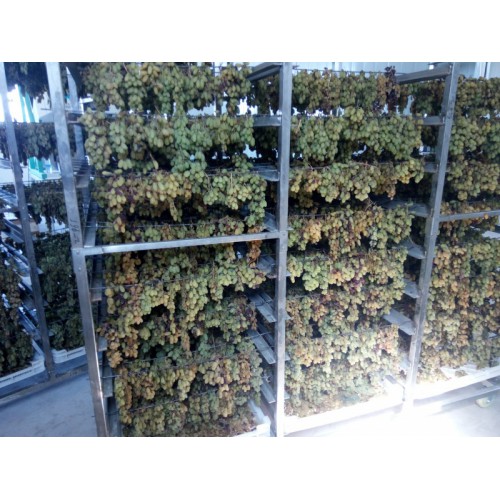 環保節能葡萄烘干房_葡萄烘干設備_烘干機廠家