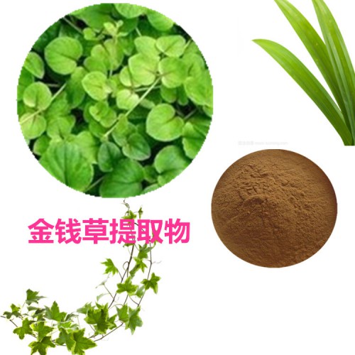 金錢(qián)草提取物 水提 金錢(qián)草速溶粉 金錢(qián)草浸膏 金錢(qián)草粉