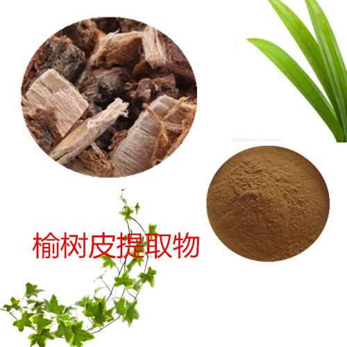 榆樹(shù)皮提取物 水提 榆樹(shù)皮速溶粉 榆樹(shù)皮浸膏 榆樹(shù)皮粉 水溶