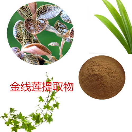 金線(xiàn)蓮提取物 水提 金線(xiàn)蓮速溶粉 金線(xiàn)蓮浸膏 金線(xiàn)蓮粉 水溶