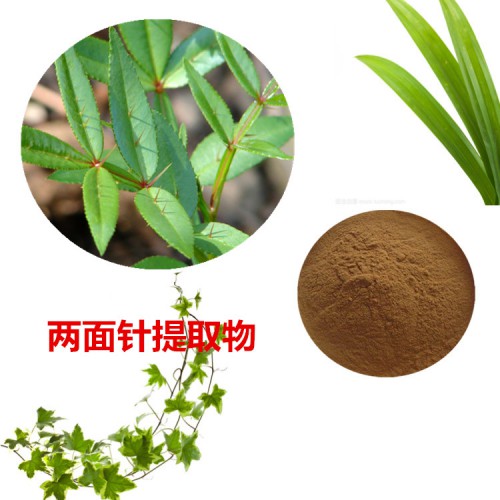 兩面針提取物  兩面針粉  兩面針速溶粉  兩面針浸膏粉