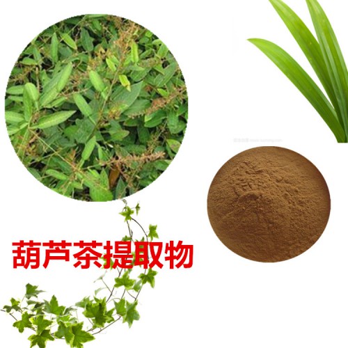 葫蘆茶提取物 葫蘆茶粉 葫蘆茶速溶粉 葫蘆茶浸膏粉