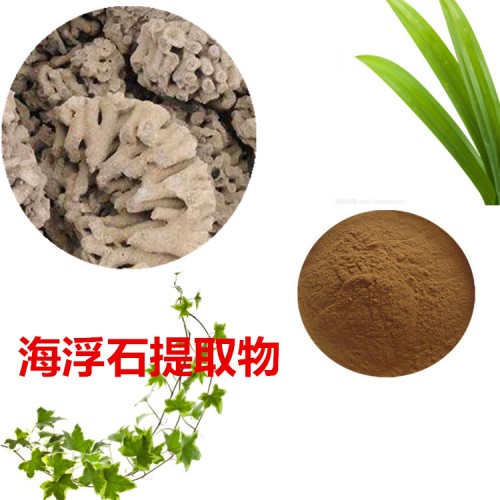 海浮石提取物 海浮石粉 海浮石速溶粉 海浮石浸膏粉
