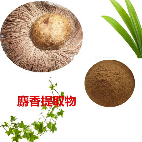麝香提取物 麝香粉 麝香速溶粉 麝香浸膏粉