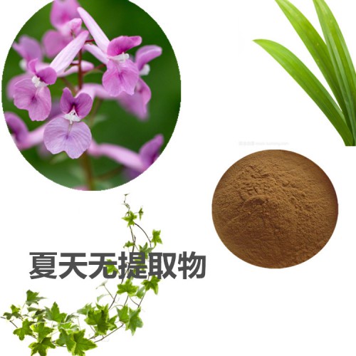 夏天無提取物 夏天無粉夏天無速溶粉 夏天無浸膏粉