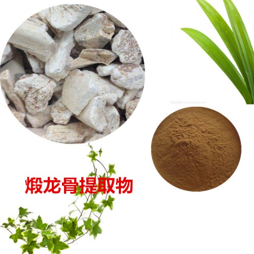 煅龍骨提取物 煅龍骨粉  煅龍骨速溶粉 煅龍骨浸膏粉