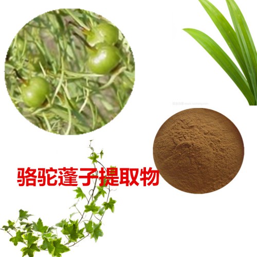 駱駝蓬子提取物 駱駝蓬子速溶粉 駱駝蓬子浸膏粉