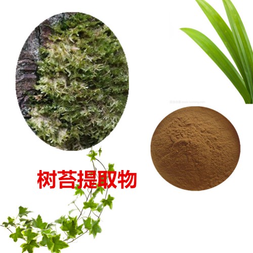 樹苔提取物 10:1  樹苔粉 樹苔速溶粉 樹苔浸膏粉