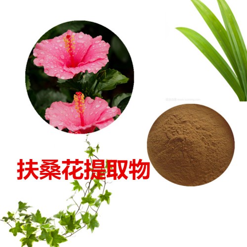 扶桑花提取物  扶桑花粉 扶?；ㄋ偃芊?扶桑花浸膏粉