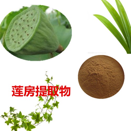 蓮房提取物 10:1 蓮房粉 蓮房速溶粉 蓮蓬浸膏粉
