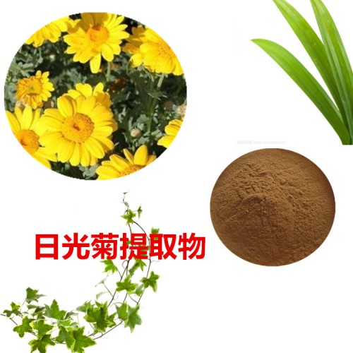 日光菊提取物  日光菊粉 日光菊速溶粉 日光菊浸膏粉