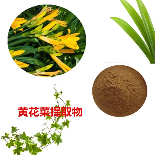 黃花菜提取物  黃花菜粉 黃花菜速溶粉 黃花菜浸膏粉