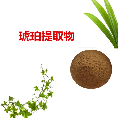 琥珀提取物  琥珀粉 琥珀速溶粉 琥珀浸膏粉