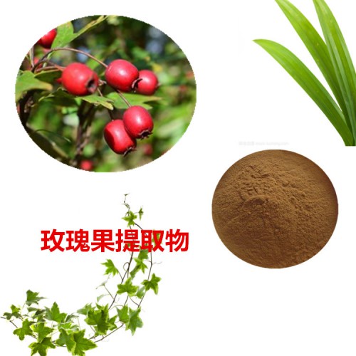 玫瑰果提取物  玫瑰果粉 玫瑰果速溶粉 玫瑰果浸膏粉