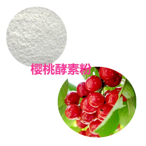 櫻桃酵素 櫻桃酵素粉 櫻桃果粉  櫻桃提取物