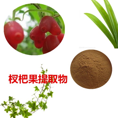 杈杷果提取物  杈杷果粉 杈杷果速溶粉 杈杷果浸膏粉