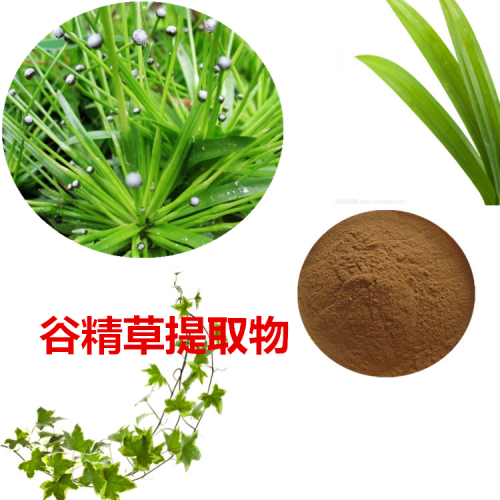 谷精草提取物  谷精草粉 谷精草速溶粉 谷精草浸膏粉
