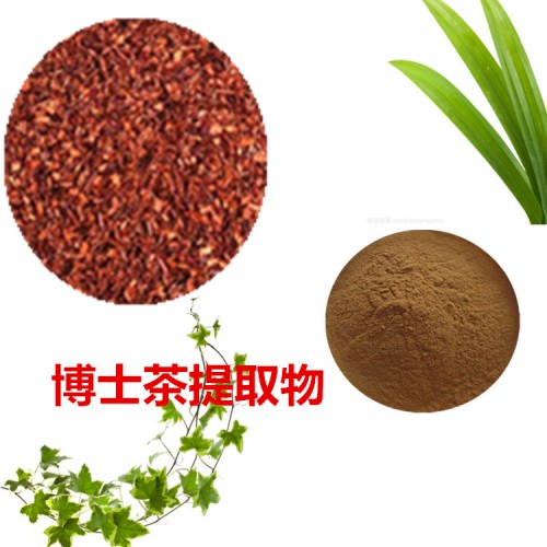 博士茶提取物 博士茶粉 博士茶速溶粉 博士茶浸膏粉