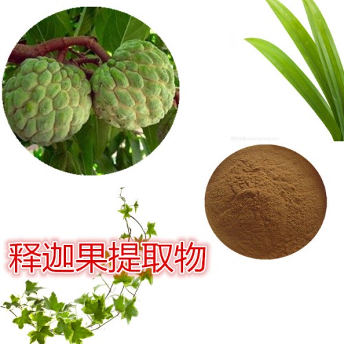 釋迦果提取物  釋迦果粉 釋迦果速溶粉 釋迦果浸膏粉