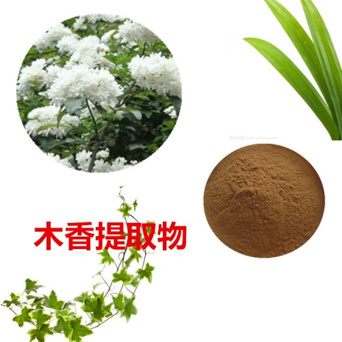 木香提取物 10:1 木香粉 木香速溶粉 木香浸膏粉