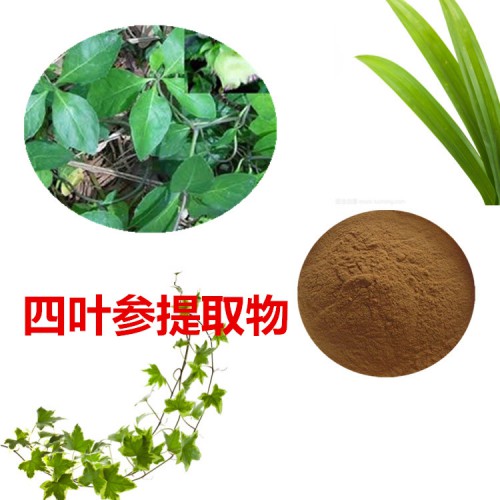 四葉參提取物  四葉參粉  四葉參速溶粉 四葉參浸膏粉