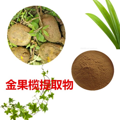 金果欖提取物  金果欖粉 金果欖速溶粉 金果欖浸膏粉