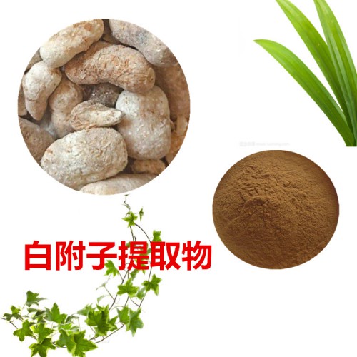 白附子提取物 白附子粉 白附子速溶粉 白附子浸膏粉