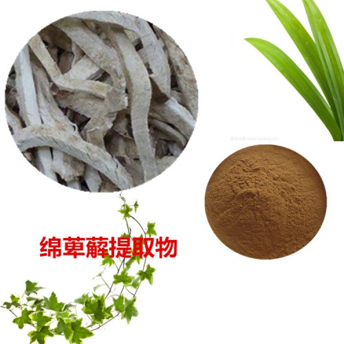 綿萆薢提取物  綿萆薢粉  綿萆薢速溶粉  綿萆薢浸膏粉