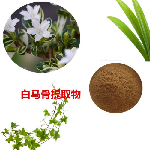 白馬骨提取物   白馬骨粉  白馬骨速溶粉 白馬骨浸膏粉