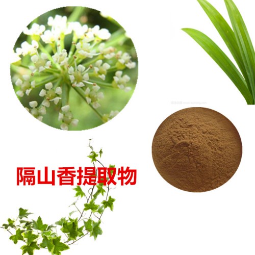 隔山香提取物  隔山香粉  隔山香速溶粉 隔山香浸膏粉