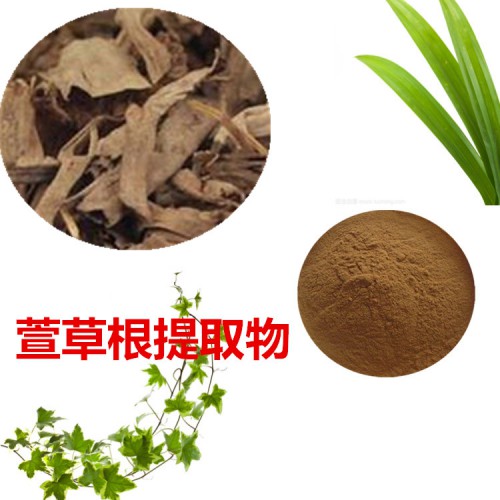 萱草根提取物 萱草根粉  萱草根速溶粉 萱草根浸膏粉