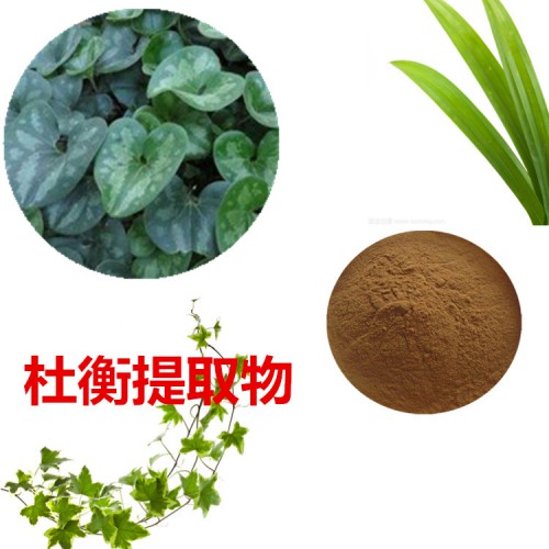 杜衡提取物 10:1  杜衡粉  杜衡速溶粉 杜衡浸膏粉