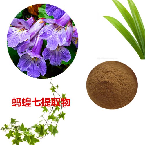 螞蝗七提取物   螞蝗七粉  螞蝗七速溶粉 螞蝗七浸膏粉