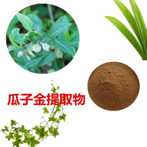 瓜子金提取物 瓜子金粉  瓜子金速溶粉 瓜子金浸膏粉