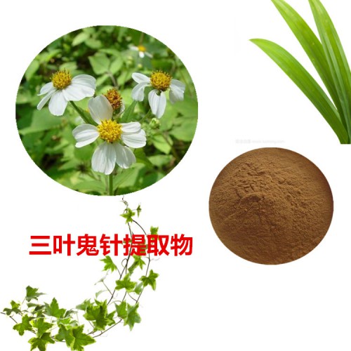 三葉鬼針提取物  三葉鬼針速溶粉 三葉鬼針浸膏粉