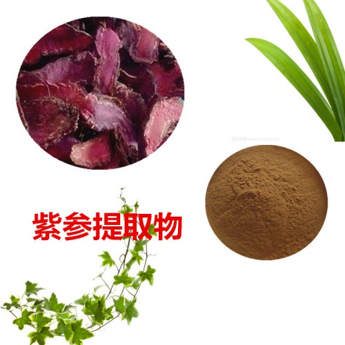 紫參提取物 紫參粉 紫參速溶粉 紫參浸膏粉