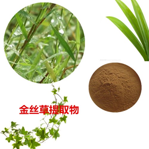 金絲草提取物 金絲草粉 金絲草速溶粉 金絲草浸膏粉