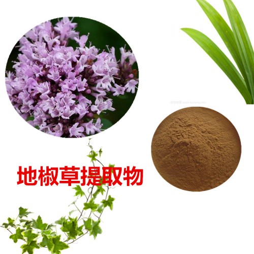 地椒草提取物  地椒草粉 地椒草速溶粉 地椒草浸膏粉