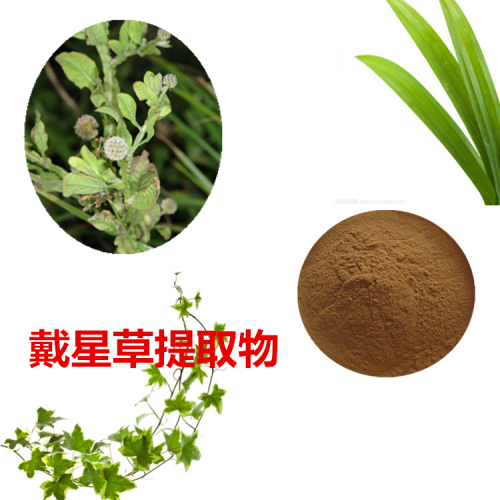 戴星草提取物   戴星草粉 戴星草速溶粉 戴星草浸膏粉