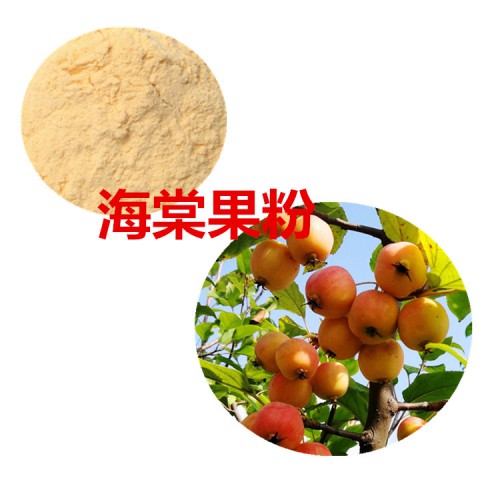 海棠果提取物   海棠果粉 海棠果速溶粉 海棠果浸膏粉