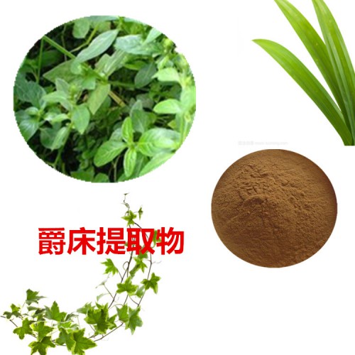 爵床提取物 10：1  爵床粉 爵床速溶粉 爵床浸膏粉